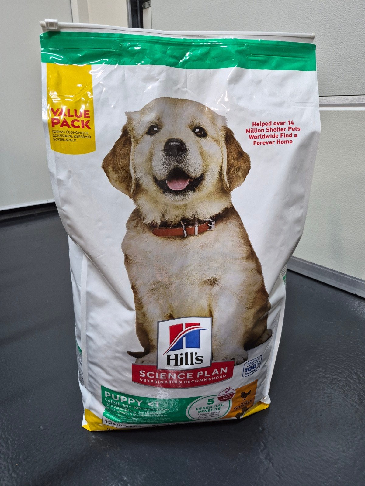 puppy voeding, Ophalen, Hond