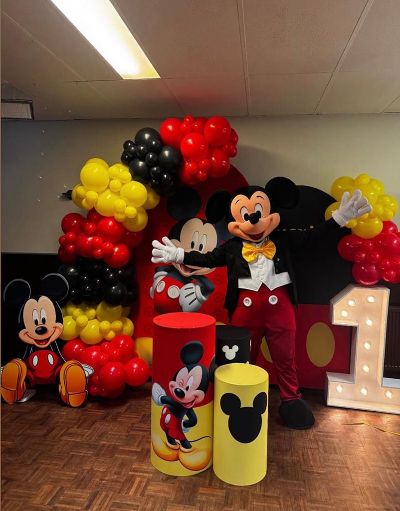 MICKEY MOUSE mascotte te boek‼️, Ophalen, Zo goed als nieuw, Verjaardag