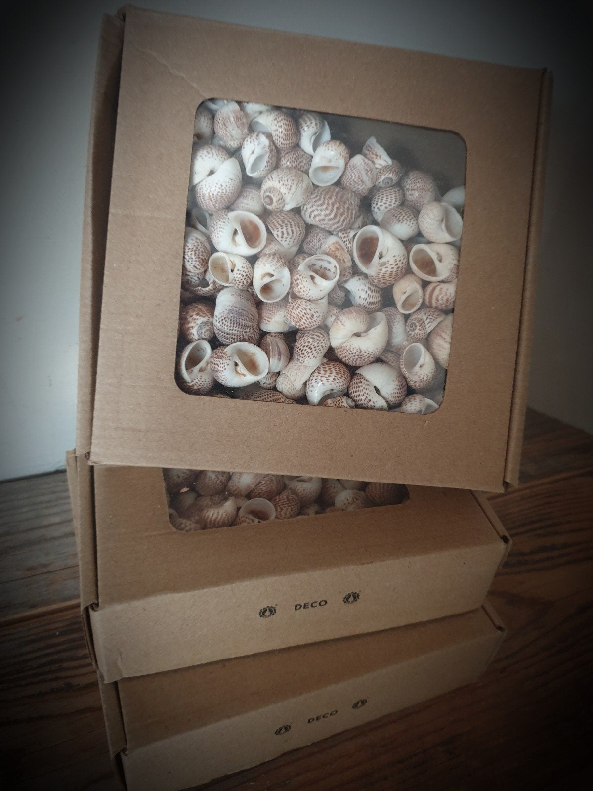 Doosje schelpen  - schelp - naturel  - krans maken, Huis en Inrichting, Woonaccessoires | Kransen, Ophalen of Verzenden, Nieuw