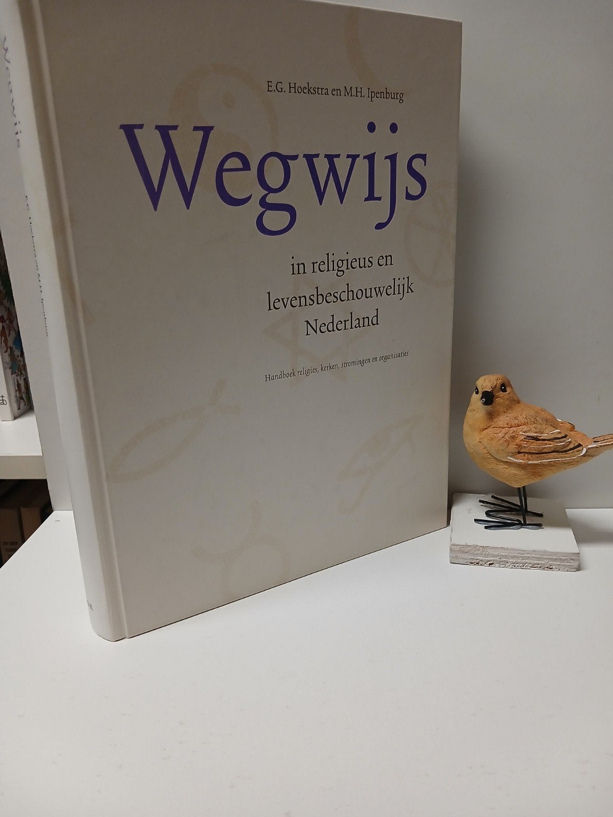 Hoekstra, E.G.; Wegwijs in religieus en levensbeschouwelijk, Boeken, Ophalen of Verzenden, Gelezen, Christendom | Katholiek