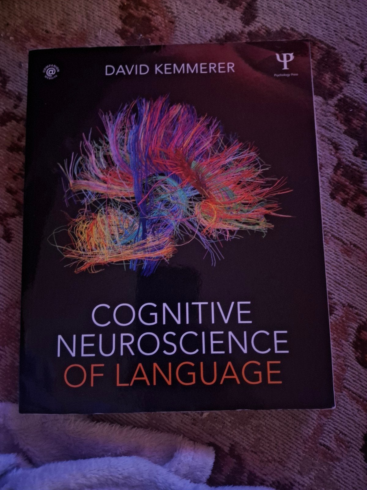 Cognitive Neuroscience of Language - David Kemmerer, David Kemmerer, Zo goed als nieuw, Beta, HBO