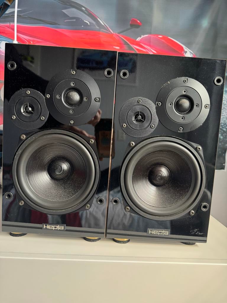Hepta  luidsprekers nederlands handwerk, Gebruikt, 60 tot 120 watt, Front, Rear of Stereo speakers, Ophalen