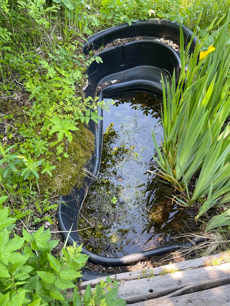 Vijverbak met planten, Tuin en Terras, Ophalen, Gebruikt