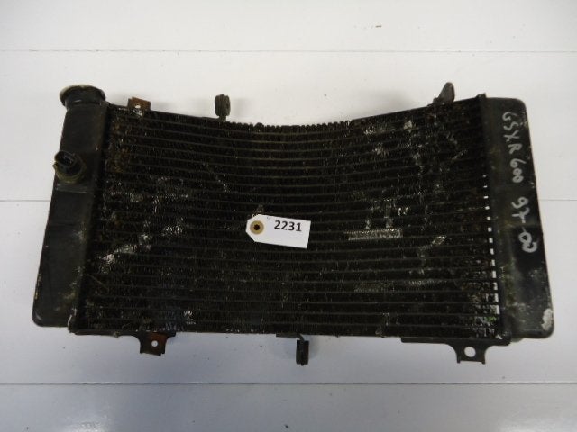 GSXR600 1997 - 2000 Suzuki Radiator D1-20654