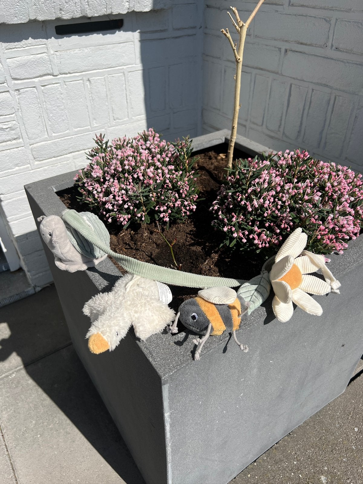 Little Dutch wagenspanner, Boxlint, buggylint,, Ophalen of Verzenden, Overige soorten, Volle zon