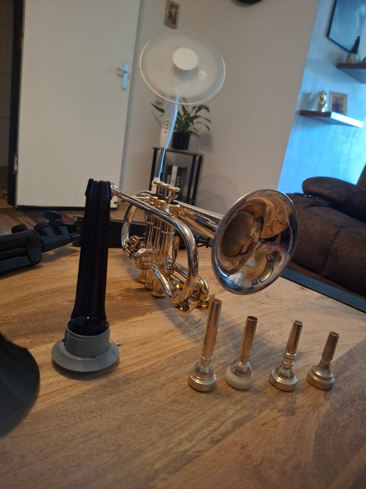 Eastman cornet - Gebruikt (zonder koffer), Ophalen of Verzenden, Gebruikt, Overige typen