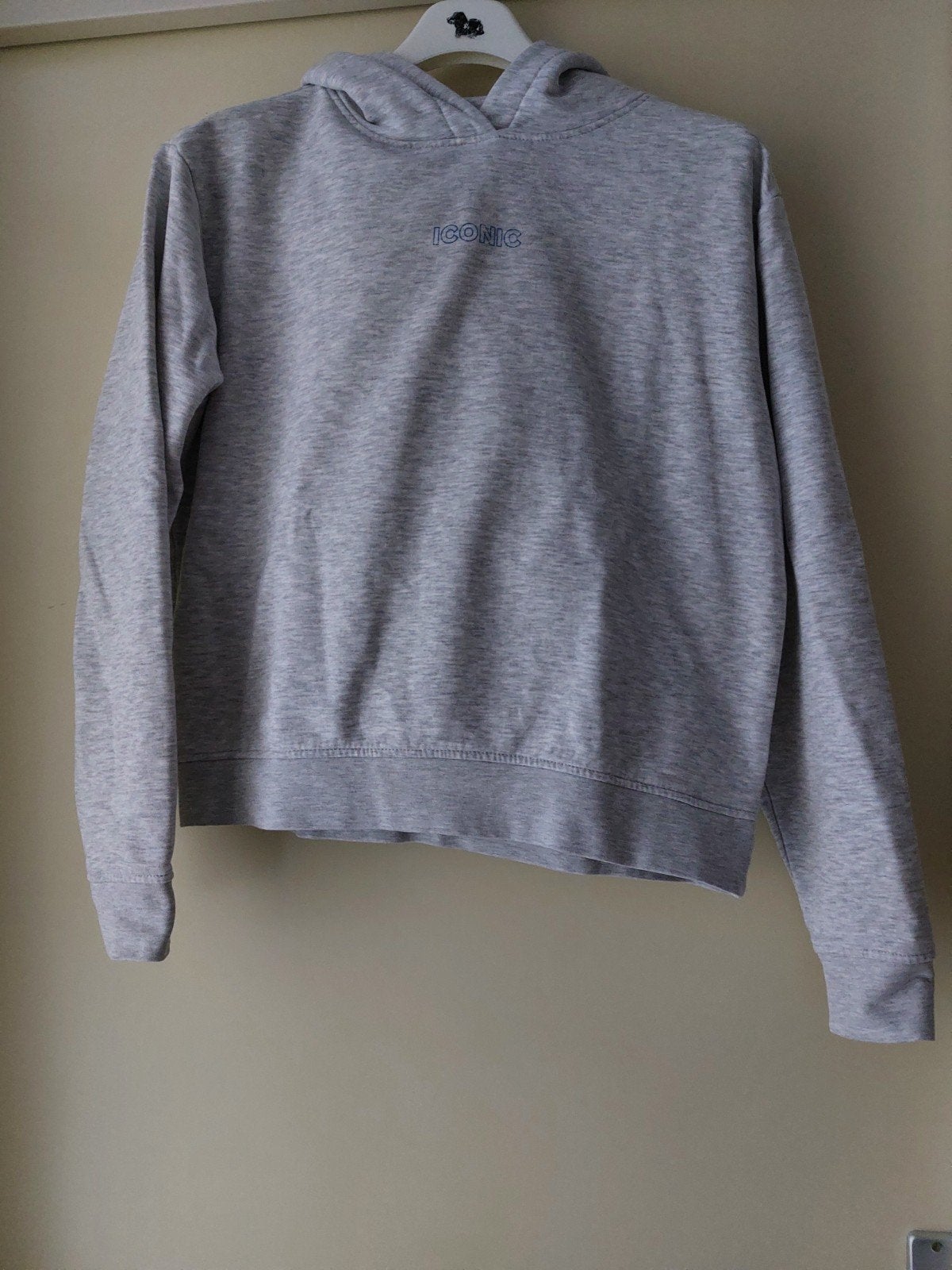 Amy & Ivy sweater maat S grijs, Ophalen, Maat 36 (S), Grijs, Amy & Ivy