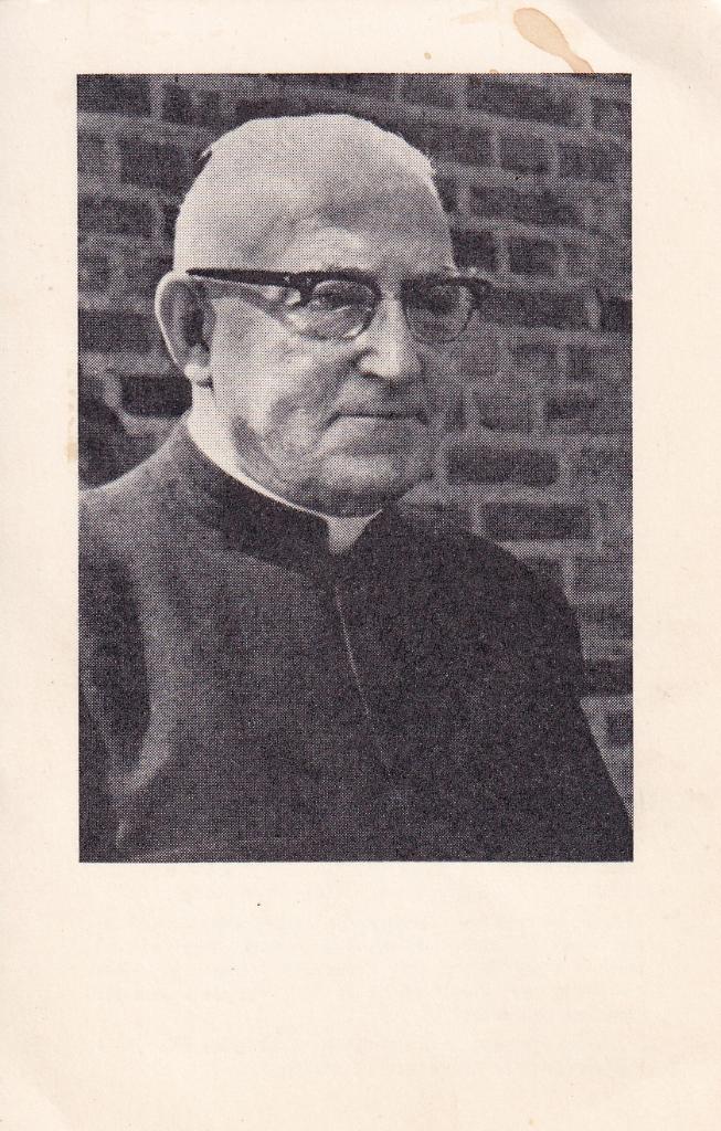 Klijn Franciscus 1889 Raamsdonkveer 1966 Waalwijk priester, Ophalen of Verzenden, Bidprentje