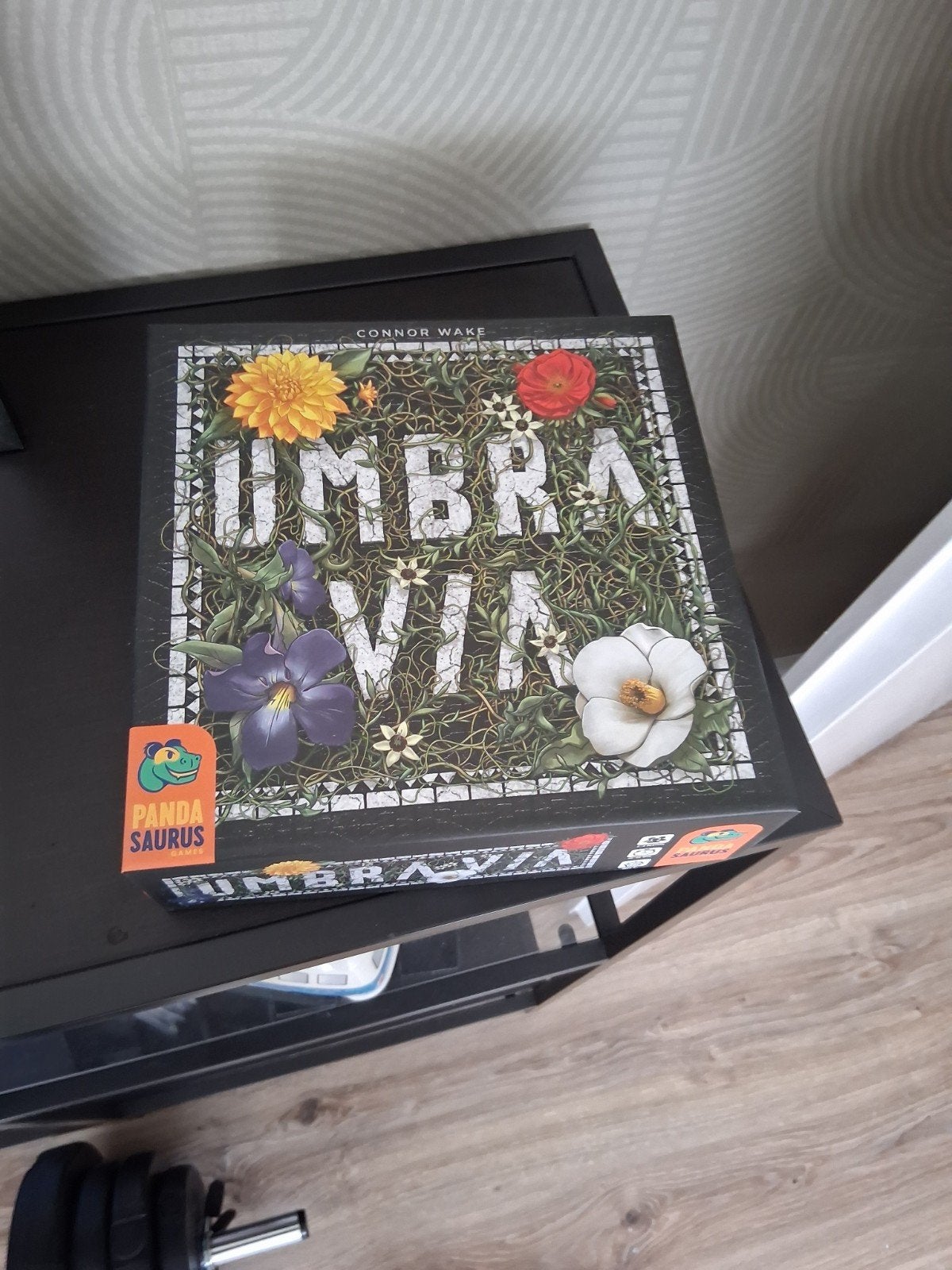 Umbra Via Bordspel - Strategisch en Visueel Aantrekkelijk, Drie of vier spelers, Ophalen of Verzenden, Zo goed als nieuw, Pandasaurus Games