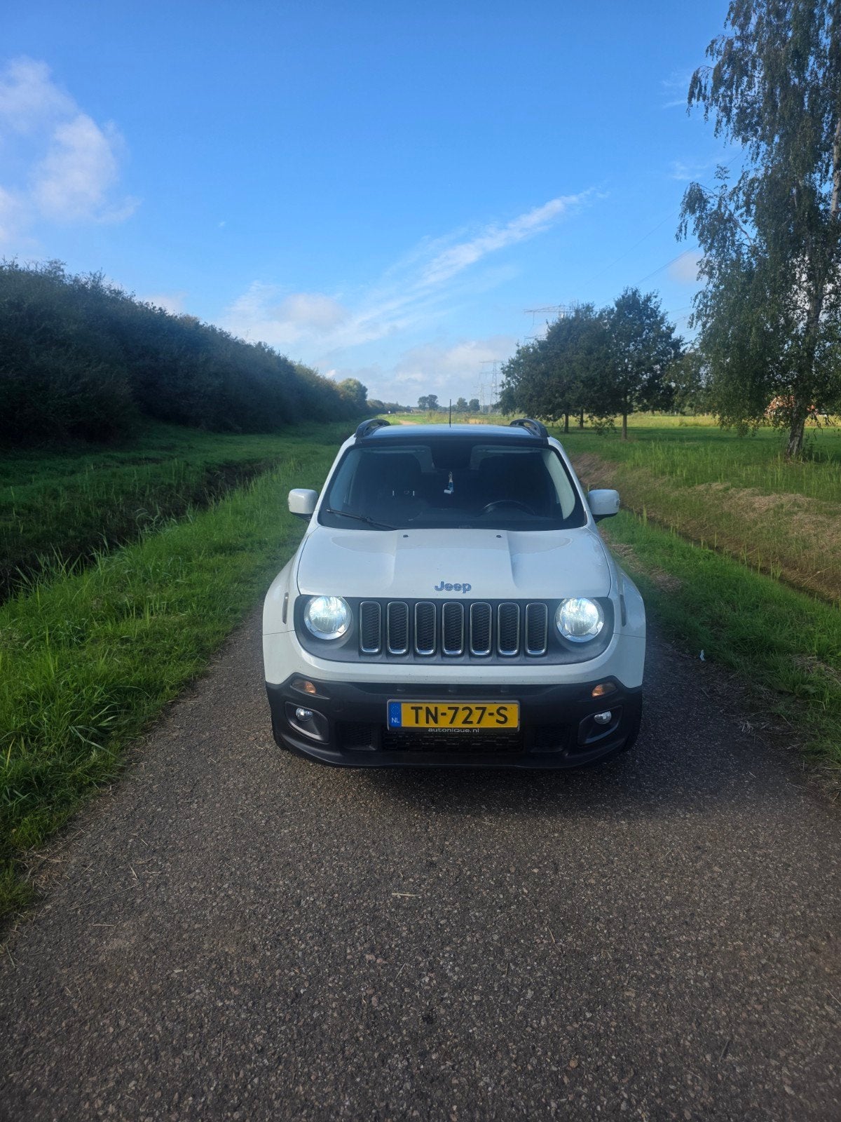 Jeep Renegade 1.4 Multiair 136pk FWD 2015 Wit, Auto's, Voorwielaandrijving, 136 pk, 1295 kg, 4 cilinders