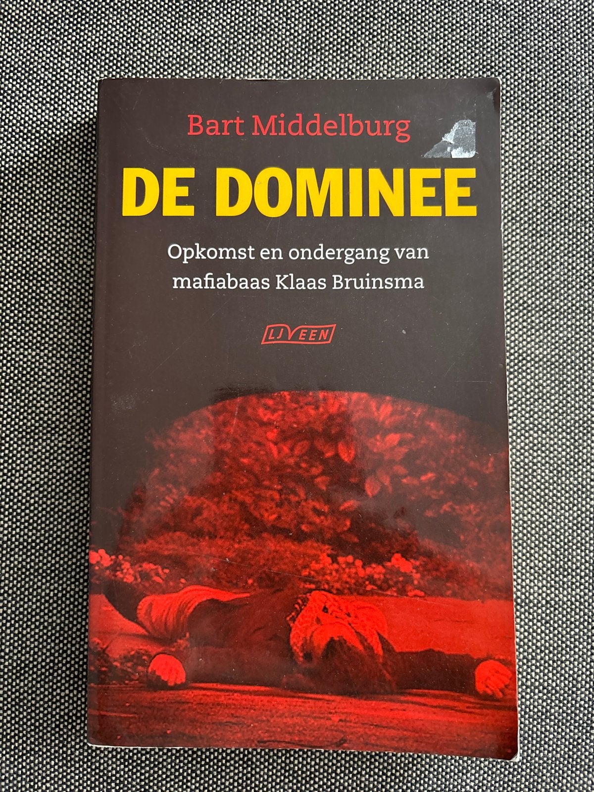 De Dominee: Opkomst en ondergang van Klaas Bruinsma, Ophalen of Verzenden, Zo goed als nieuw
