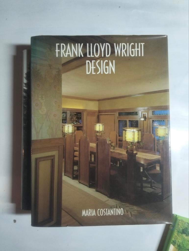 Frank Lloyd Wright, Ophalen of Verzenden, Zo goed als nieuw, Architecten