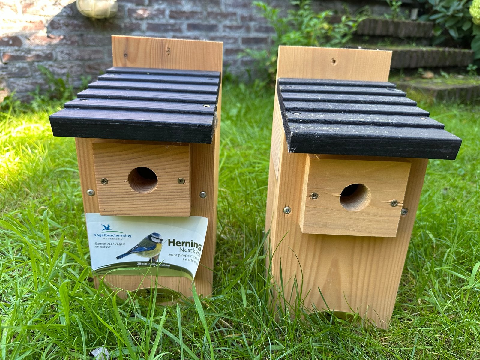 2x Nestkast Herning voor Pimpelmees en Zwarte Mees - Nieuw, Ophalen of Verzenden, Nieuw