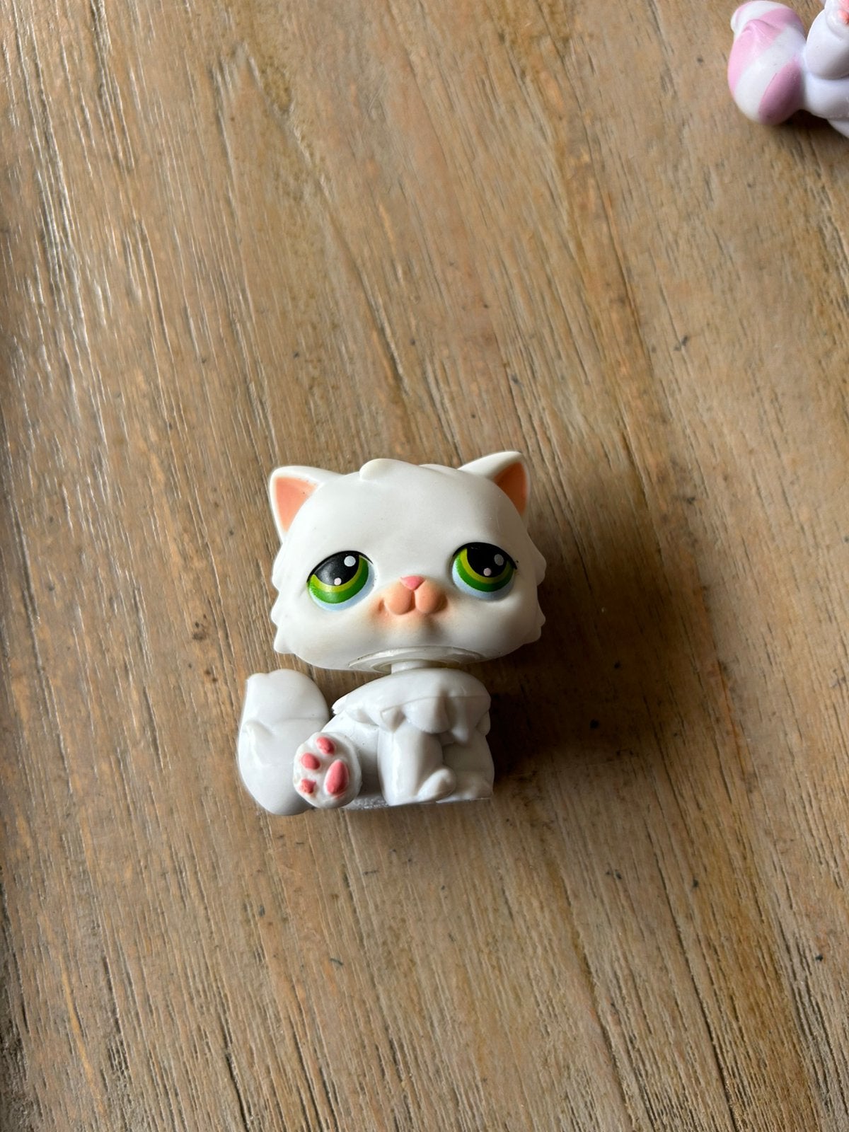 White persian cat, Ophalen of Verzenden, Gebruikt