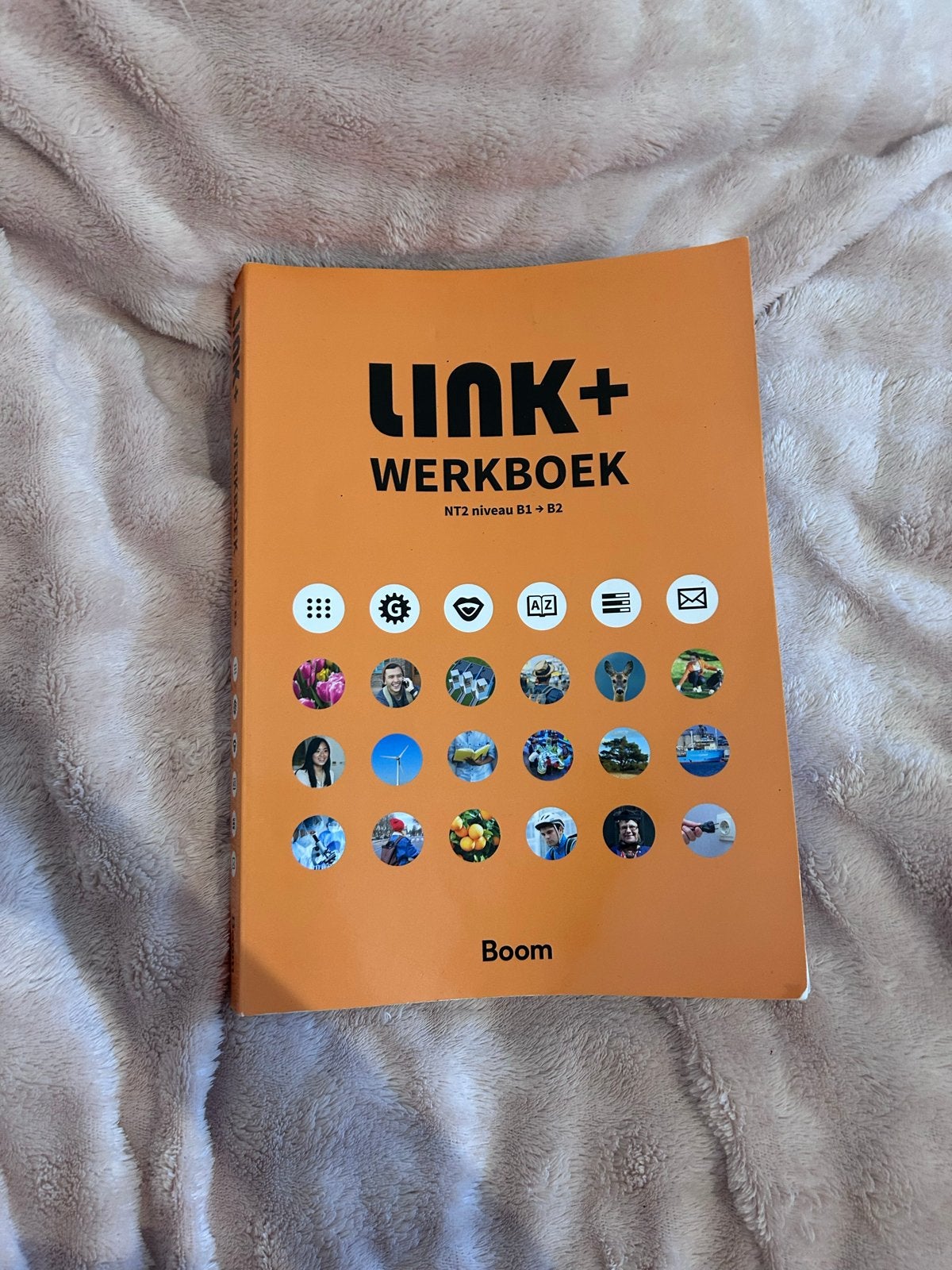 LINK+ werkboek B1-B2 voor taalschakelklas en anderstaligen, Ophalen of Verzenden, Alpha, Zo goed als nieuw, Overige niveaus