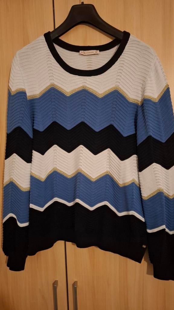 Gezocht trui van Studio Anmeloes maat XL, Ophalen of Verzenden, Zo goed als nieuw, Maat 46/48 (XL) of groter
