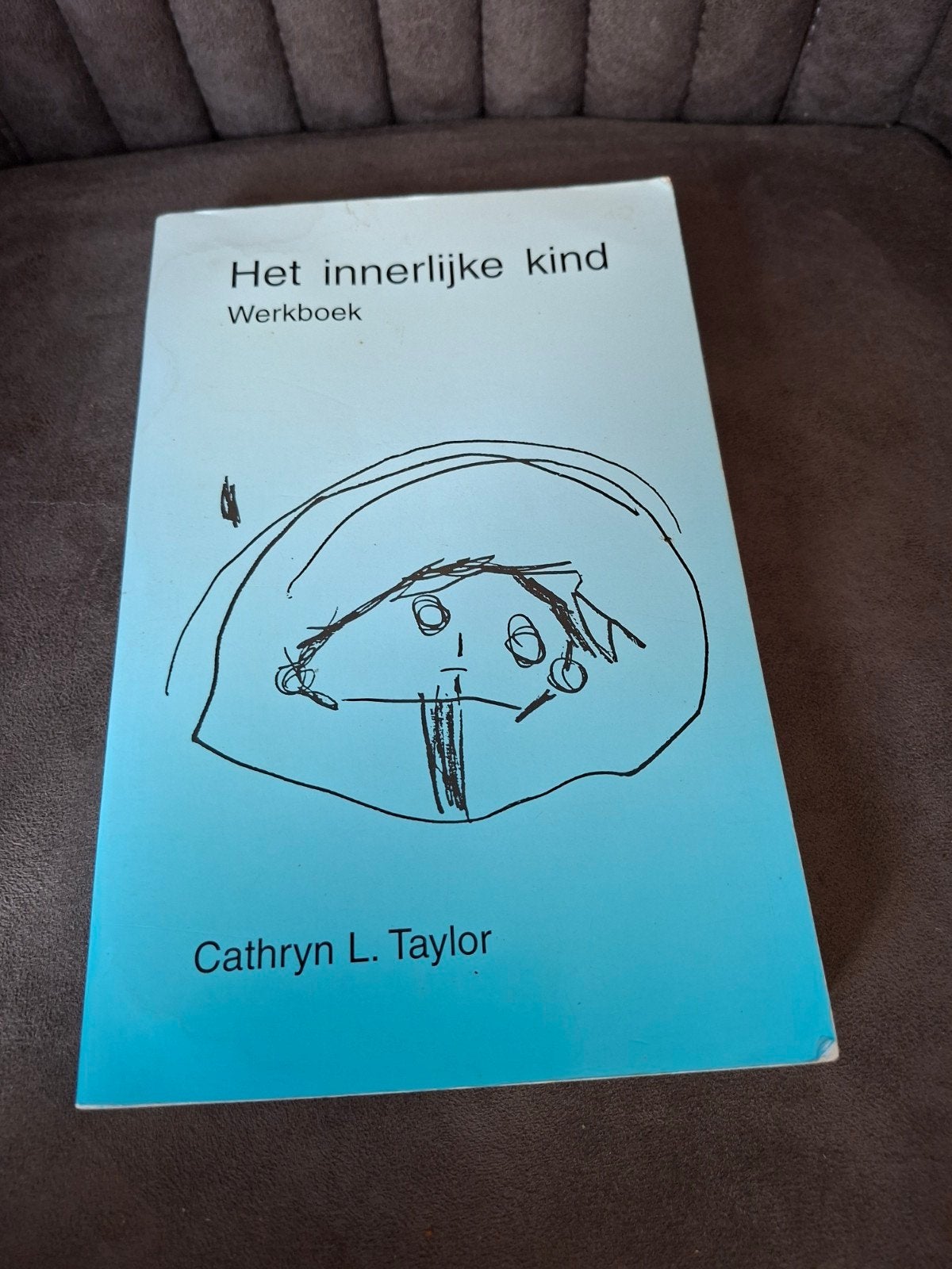 Het Innerlijke Kind Werkboek - Cathryn L. Taylor, Ophalen of Verzenden, Gelezen