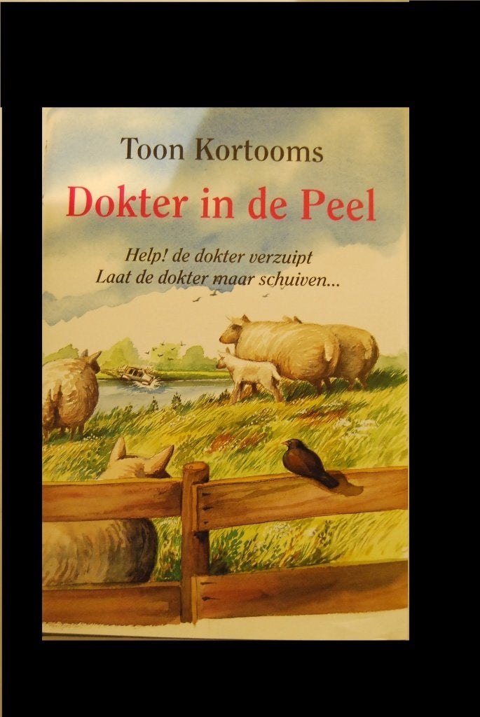 Te koop dubbel roman, 417 bladzijden. (humor, Boeken, Ophalen of Verzenden, Zo goed als nieuw, Verhalen