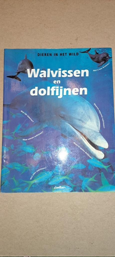 Walvissen en dolfijnen - Dieren in het wild, Ophalen of Verzenden