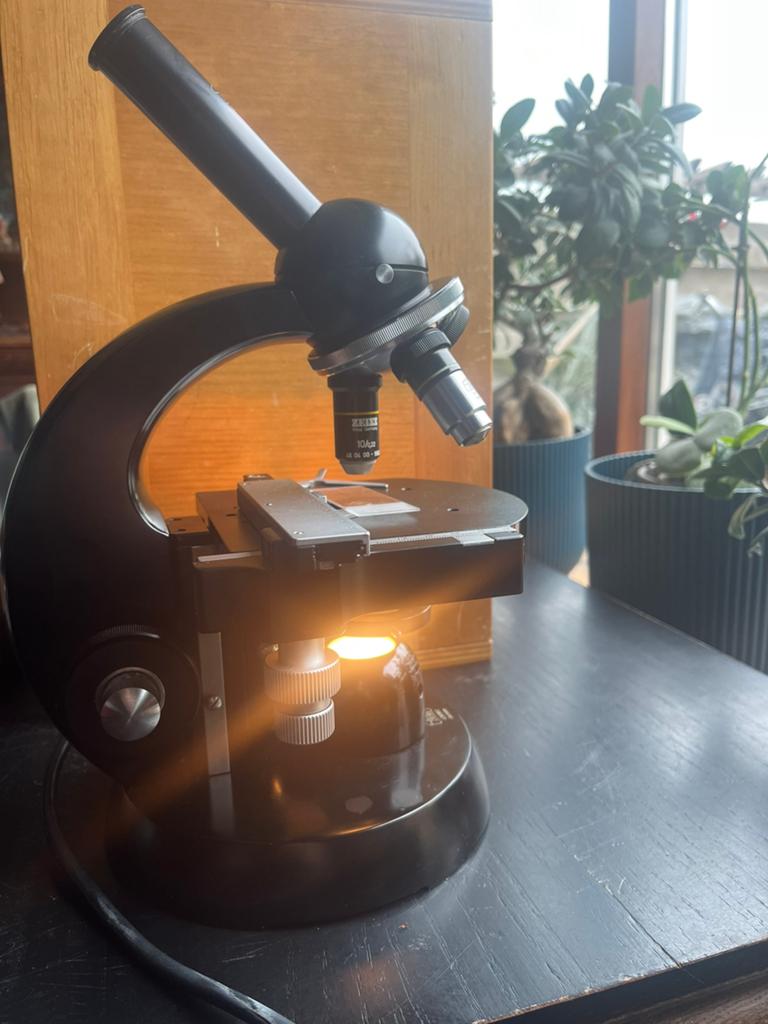 Microscoop carl zeiss vintage met koffer, Ophalen of Verzenden, Zo goed als nieuw, Minder dan 400x