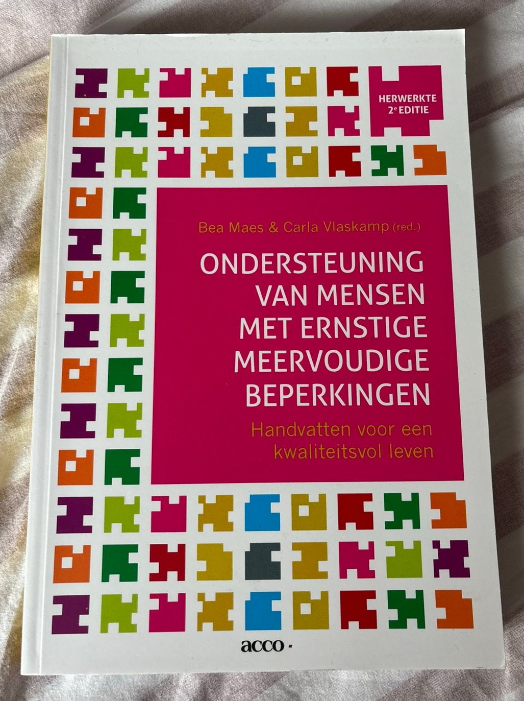 Boek Ondersteuning van mensen met EMB, Ophalen of Verzenden, Beta, Zo goed als nieuw, WO