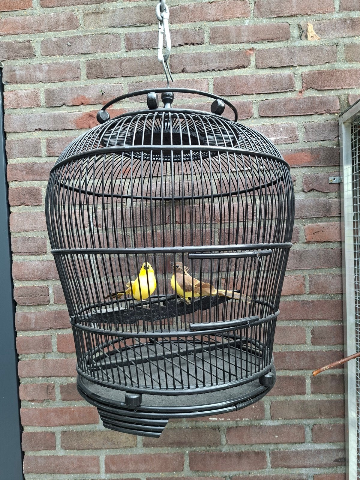 Decoratieve vogelkooi met 2 kunstvogels, Ophalen, Overige stijlen, Metaal, Gebruikt