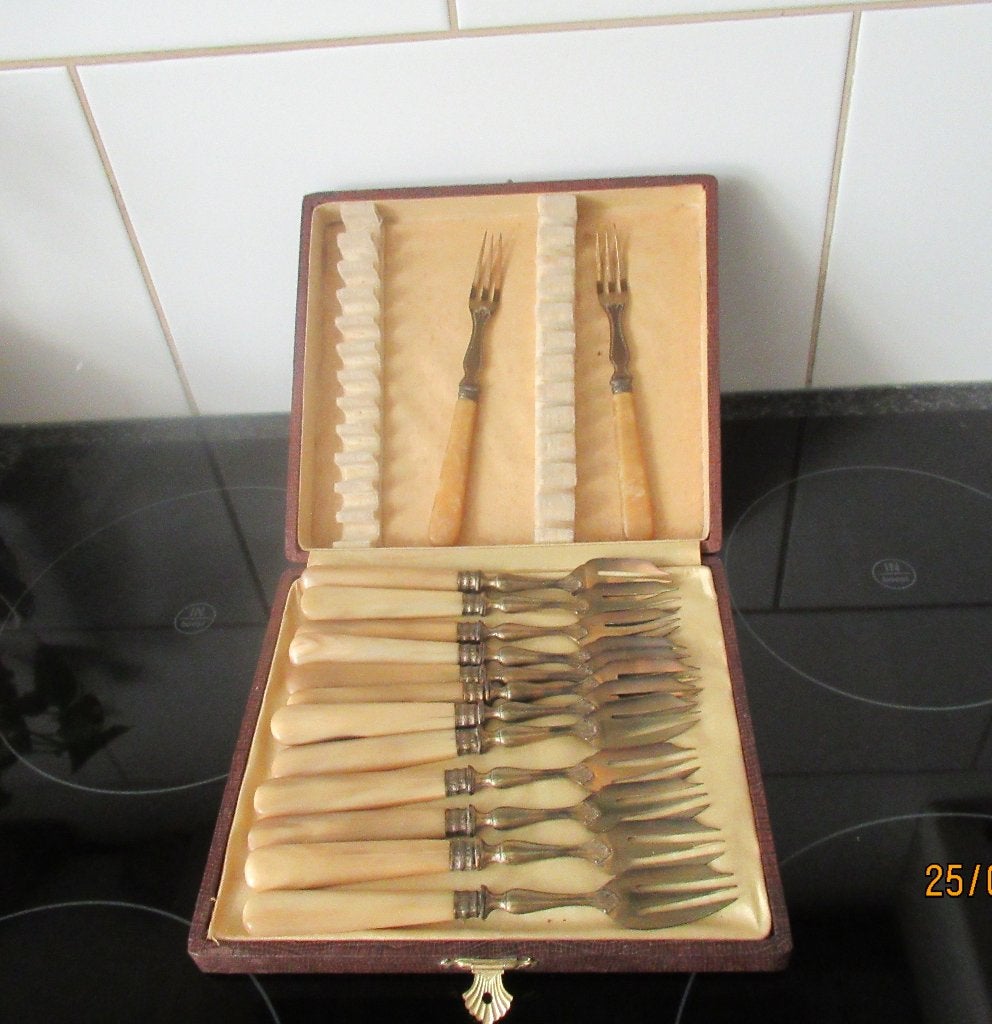 OUDE VIS BESTEKSET -12 VORKJES IN ORIGINELE DOOS, Antiek en Kunst, Antiek | Bestek, Ophalen of Verzenden