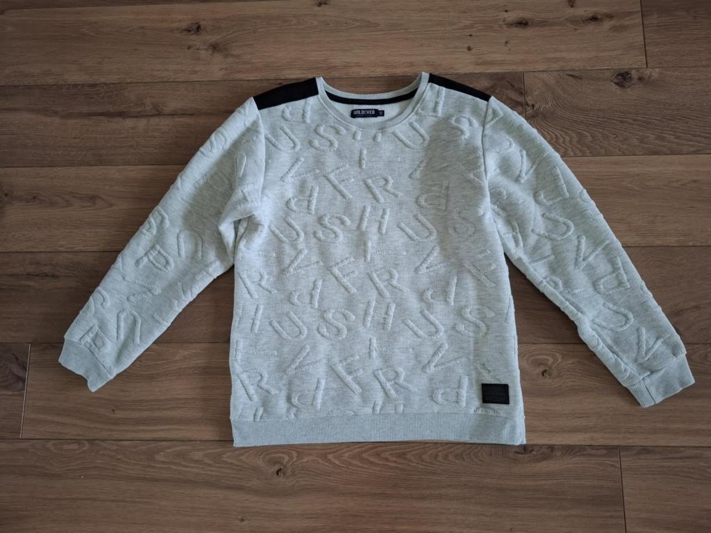ZGAN sweater, Kinderen en Baby's, Kinderkleding | Maat 164, Ophalen of Verzenden, Zo goed als nieuw, Jongen, Trui of Vest