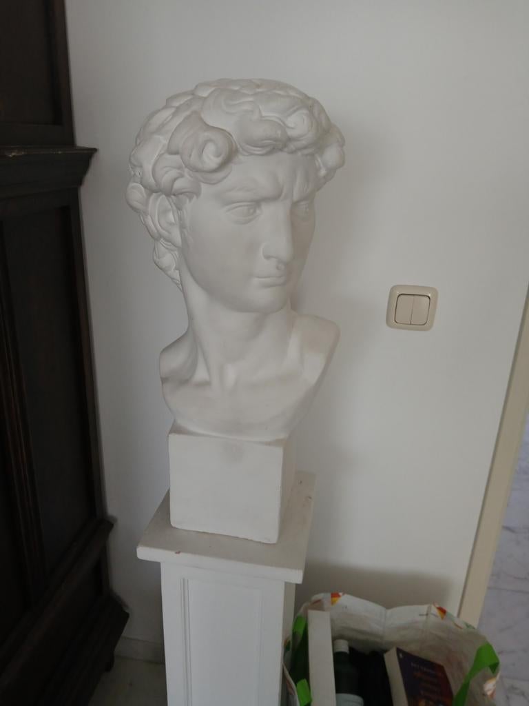 Davidskop, Ophalen