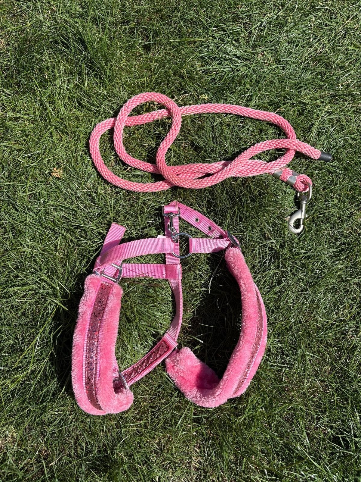 Halster Epplejeck Glamour Roze (nieuw!) met lijn, Dieren en Toebehoren, Ophalen of Verzenden, Nieuw