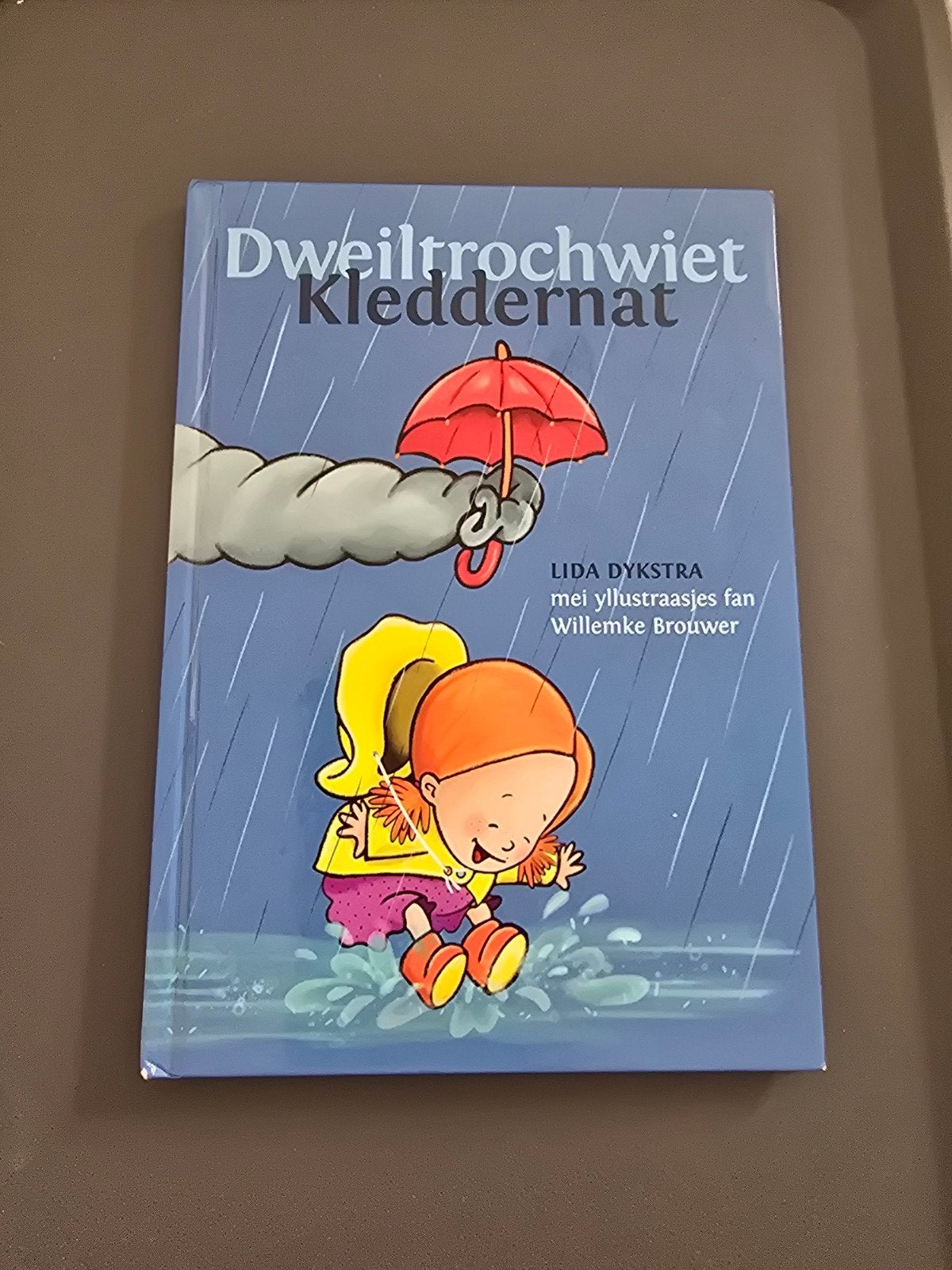 Dweilrochwiet Kleddernat - Lida Dykstra, Boeken, Gelezen, Fictie algemeen, Lida Dykstra, Jongen of Meisje