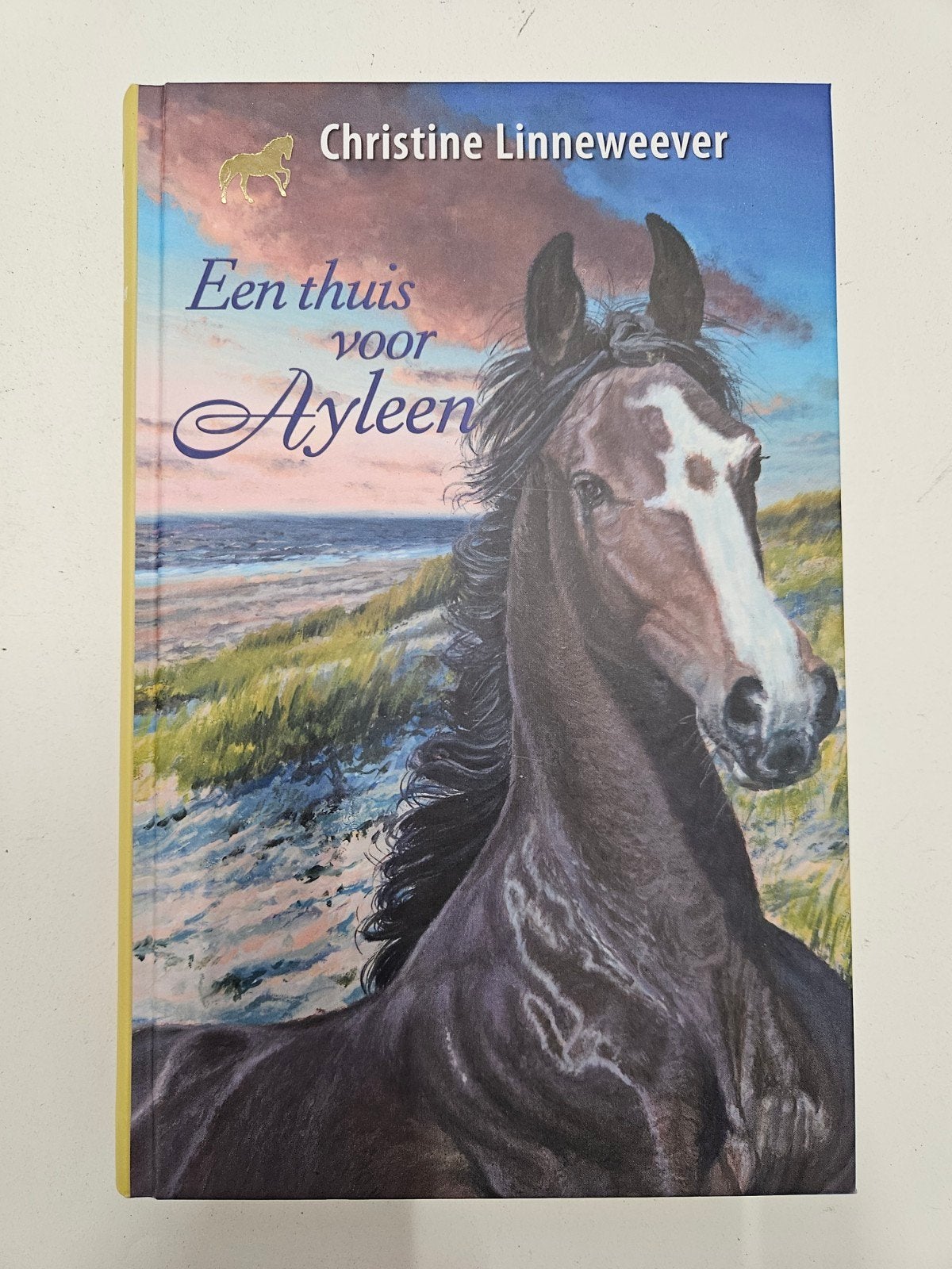 Christine Linneweever - Een thuis voor Ayleen, Boeken, Ophalen of Verzenden, Zo goed als nieuw, Christine Linneweever