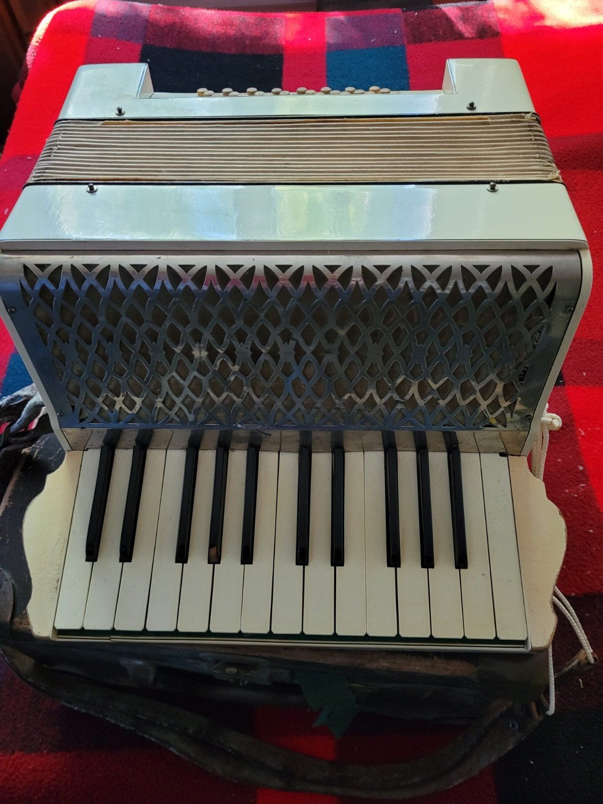 Antieke accordeon, Ophalen, Gebruikt, Overige merken