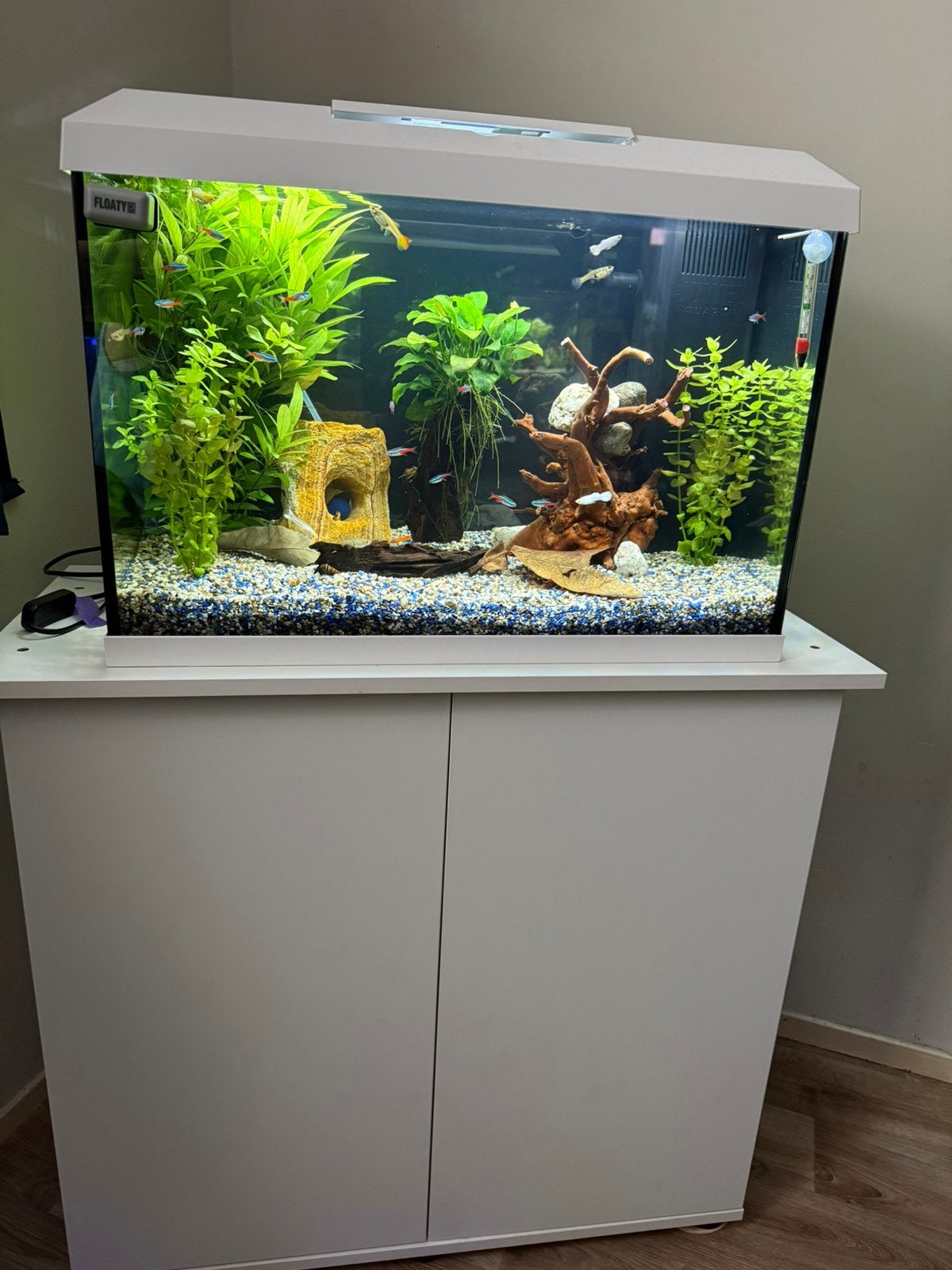Juwel aqarium, Ophalen, Nieuw, Gevuld zoetwateraquarium, Inclusief vissen