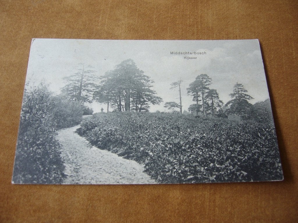 DE STEEG  =  MIDDACHTERBOSCH  -  KIJKOVER MET MAN 1910, Ophalen of Verzenden, Voor 1920, Gelopen, Gelderland