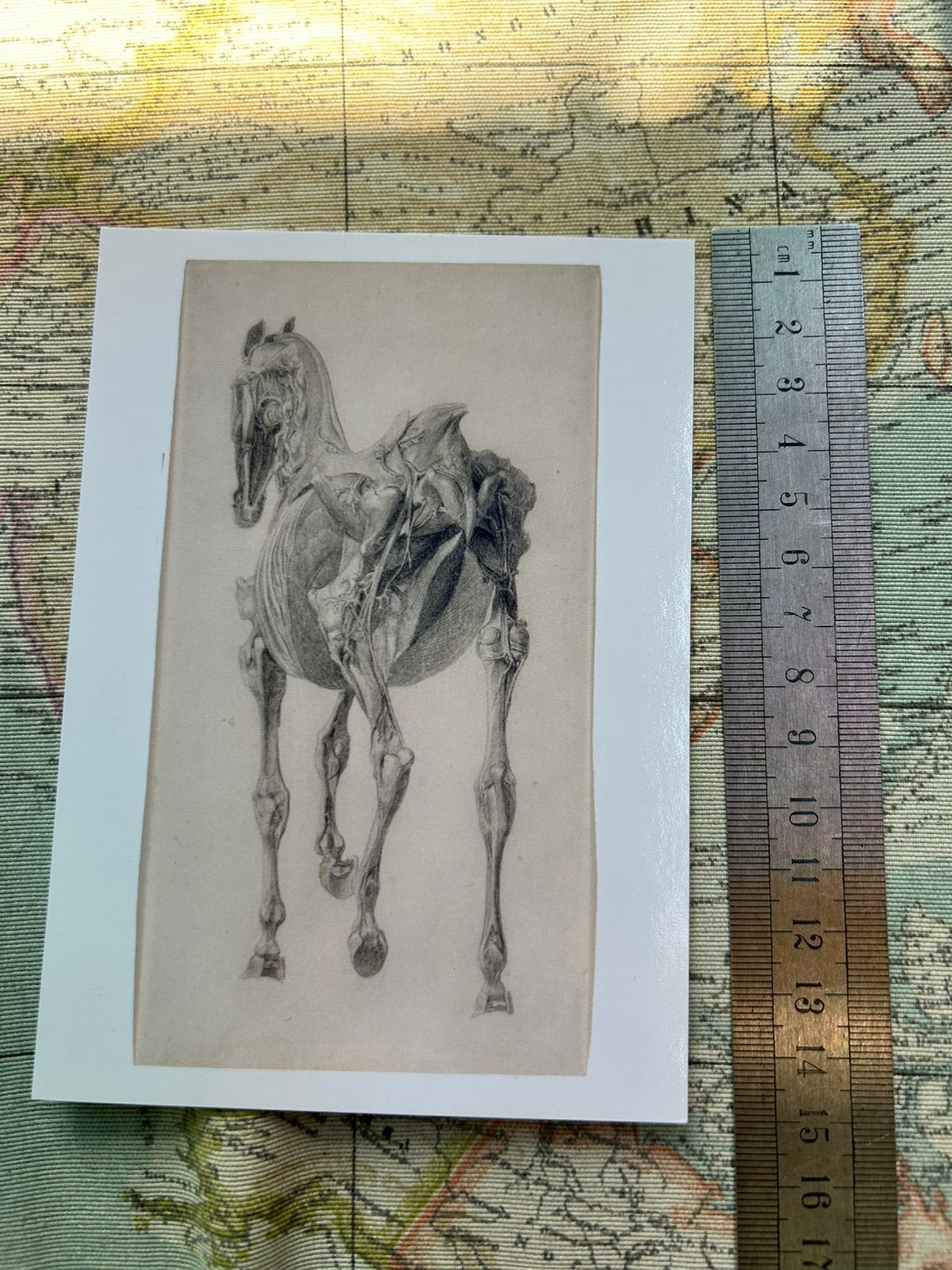 171. Kunstkaart George Stubbs, Ophalen of Verzenden, 1980 tot heden, Ongelopen, Sterren en Beroemdheden