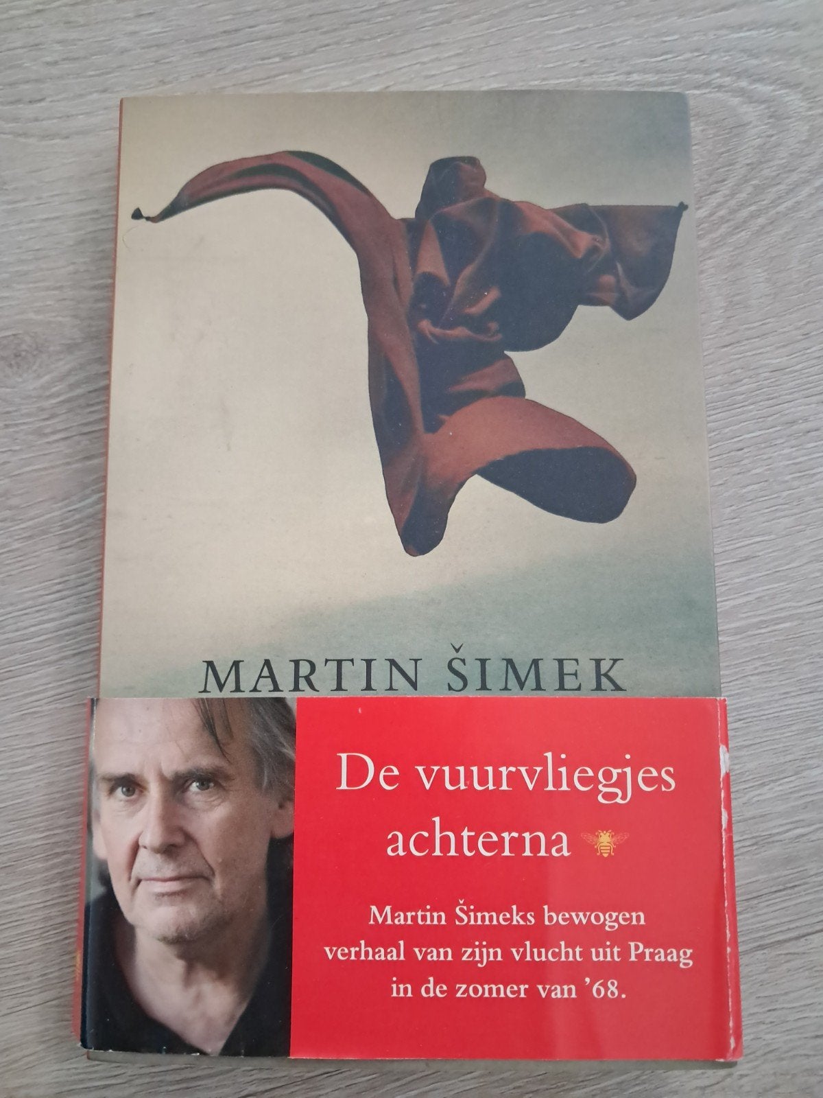 U: Martin Simek - De vuurvliegjes achterna, Ophalen of Verzenden, Zo goed als nieuw, Martin Simek