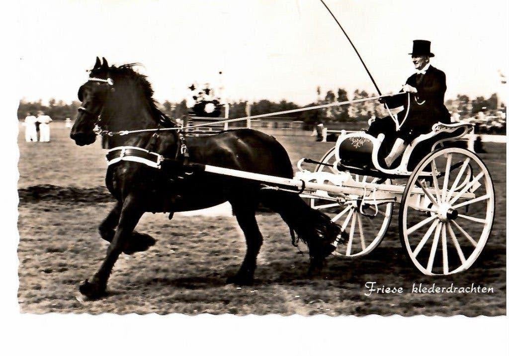 Friesland  klederdrachten Twee kaarten, Ophalen of Verzenden, 1940 tot 1960, Ongelopen, Friesland