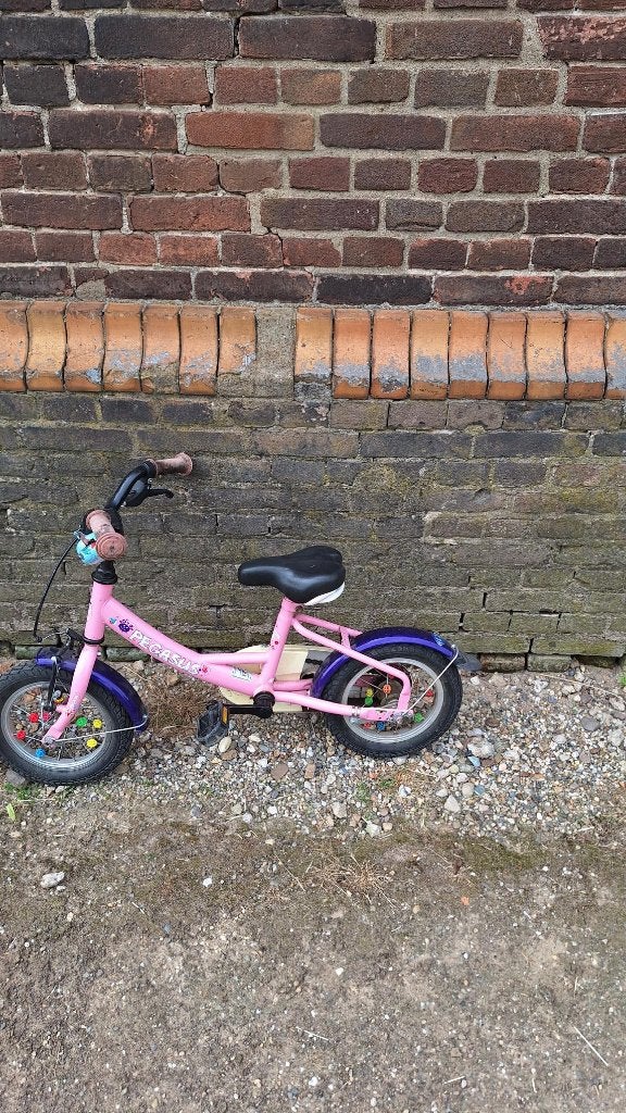 kinderfietsen, Fietsen en Brommers, Fietsen | Kinderfietsjes, Ophalen, Terugtraprem, Zijwieltjes, Gebruikt