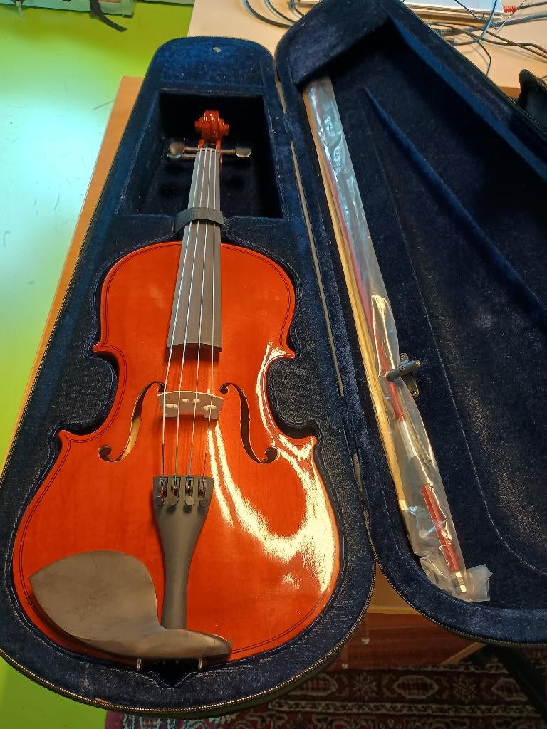 Hele altviool, Muziek en Instrumenten, Strijkinstrumenten | Violen en Altviolen, Altviool, Overige formaten, Onbekend, Ophalen of Verzenden