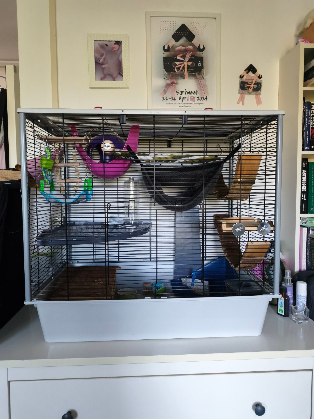 mooie grote ratjes kooi met veel toebehoren, Ophalen, Kooi, 60 tot 90 cm, Cavia
