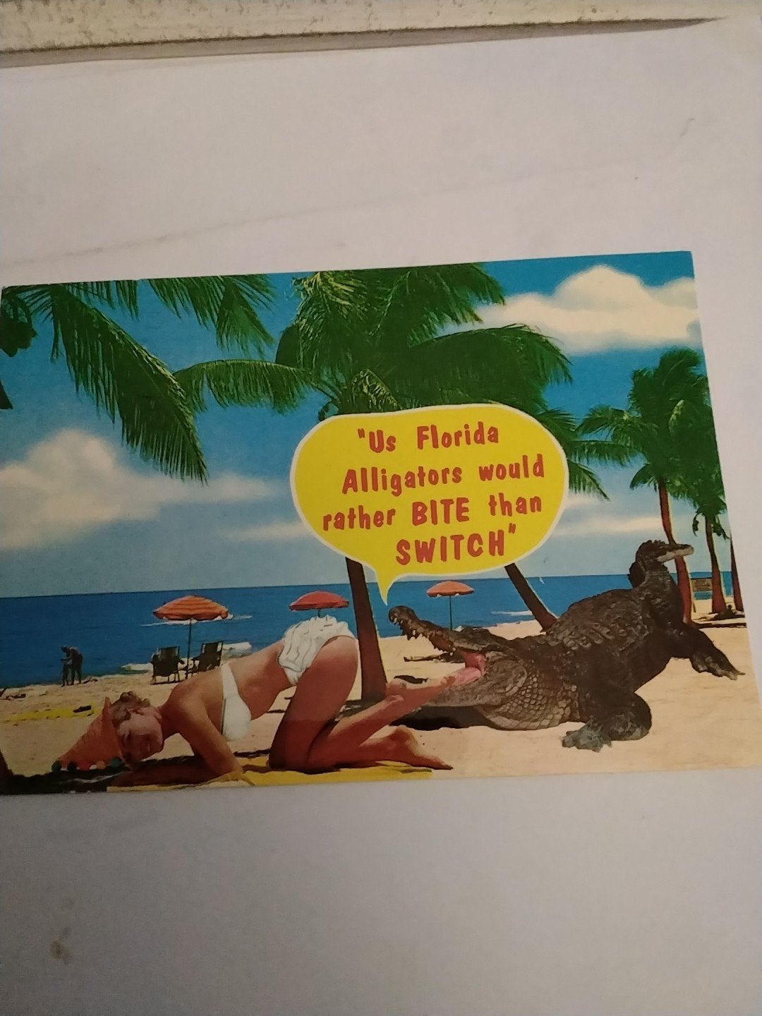 Vintage Ansichtkaart: Florida Alligators - Humor, Ophalen of Verzenden, 1960 tot 1980, Gelopen
