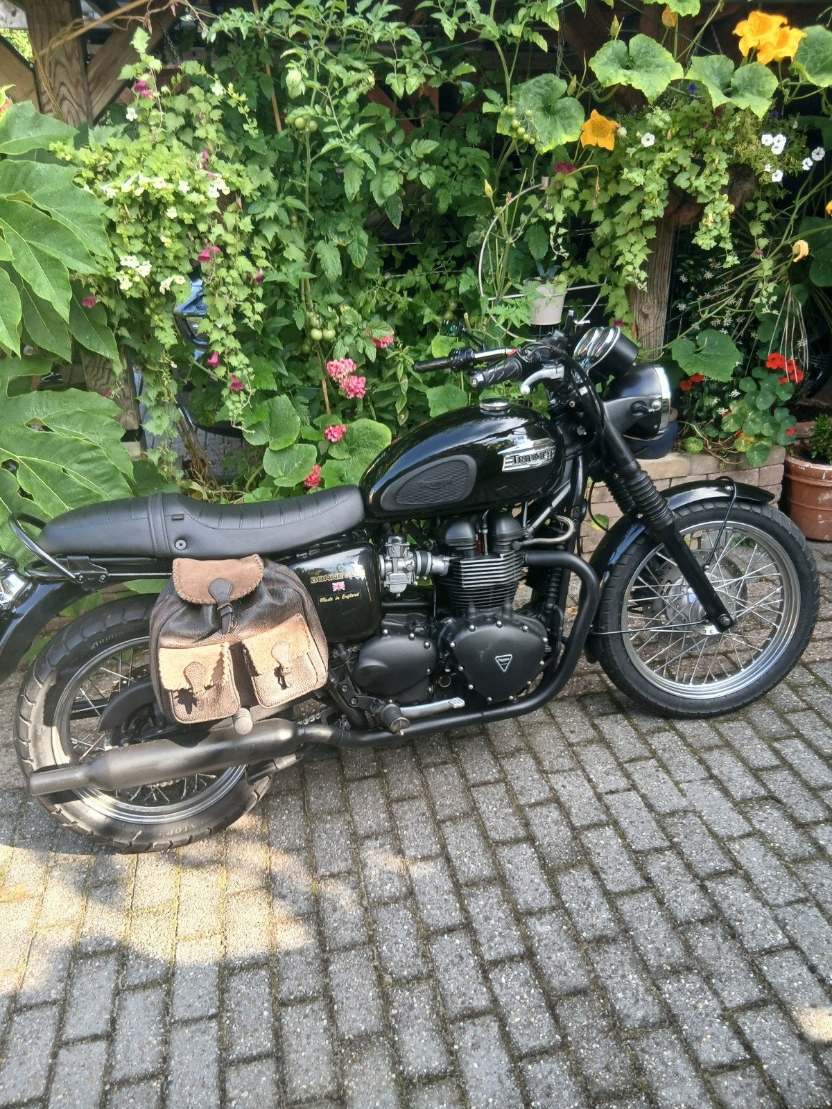 Triumph Bonneville T100 865 cc 2007 black edition, 2 cilinders, Gebruikt, Particulier, Meer dan 35 kW