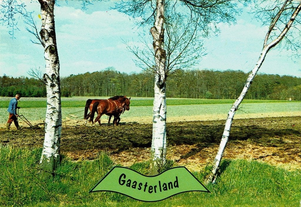 Gaasterland, Verzamelen, Ophalen of Verzenden, 1980 tot heden, Gelopen, Friesland