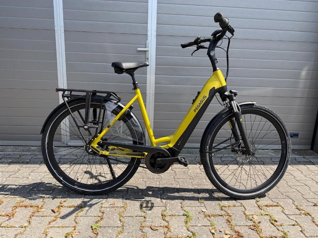 Pegasus Ravenna Evo 8f Belt, Overige merken, 53 tot 56 cm, Info@pegasus.com, Schijfrem