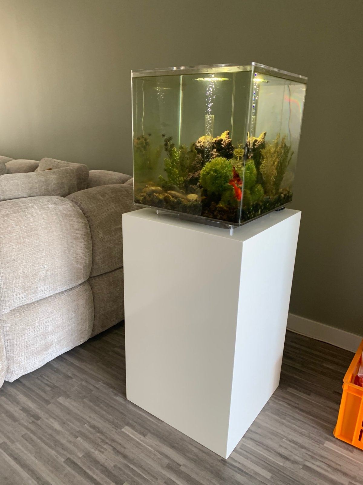 Mooie Biorp aquarium, Ophalen, Overige typen, Overige merken, Zo goed als nieuw