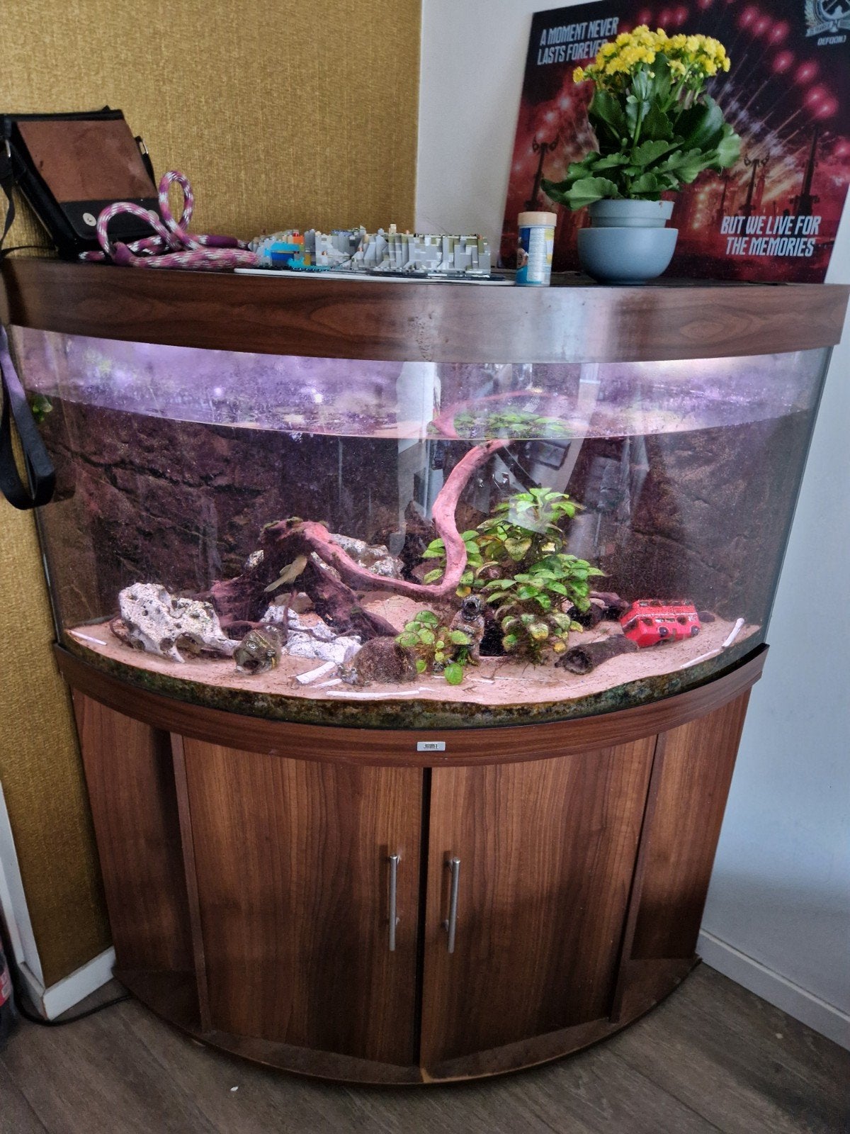 Juwel trigon hoek aquarium 350 liter, Dieren en Toebehoren, Vissen | Aquaria en Toebehoren, Ophalen, Gebruikt, Leeg aquarium