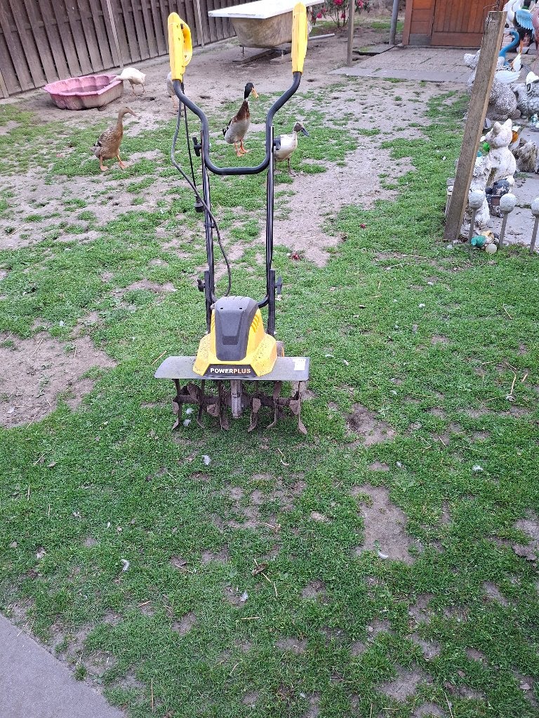Tuinfrees te koop, Ophalen, Gebruikt