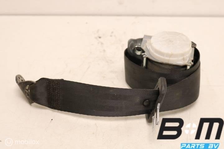 Gordel linksachter Skoda Fabia 3 6V0857447, Gebruikt