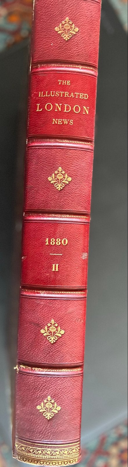 The Illustrated London News - Jaargang 1880, Deel II, Boeken, Tijdschriften en Kranten, Ophalen, Gelezen, Overige typen